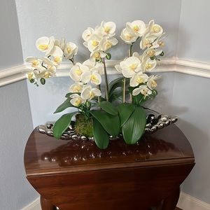 White orchid with silver vase